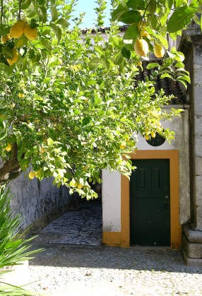 Lemon trees, sunshine and old houses in an Evora backstreet