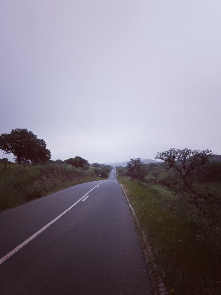 10995709_10153257585189082_1478496498097788119_n