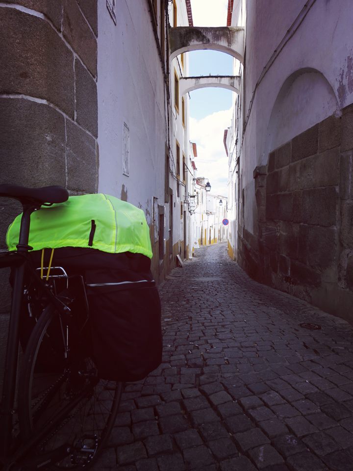 11049665_10153257580104082_5061398450750582838_n