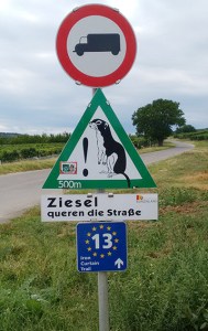 Sign on the Iron Curtain Trail near Sopron in Hungary. No idea what the little crittur is but we didn't see one
