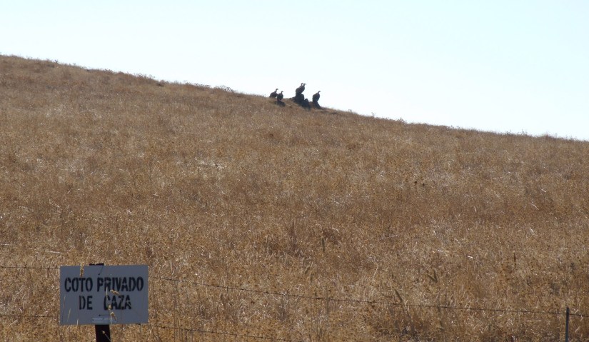 Get the feeling you're being watched?