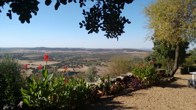 IMG_20181009_162358137