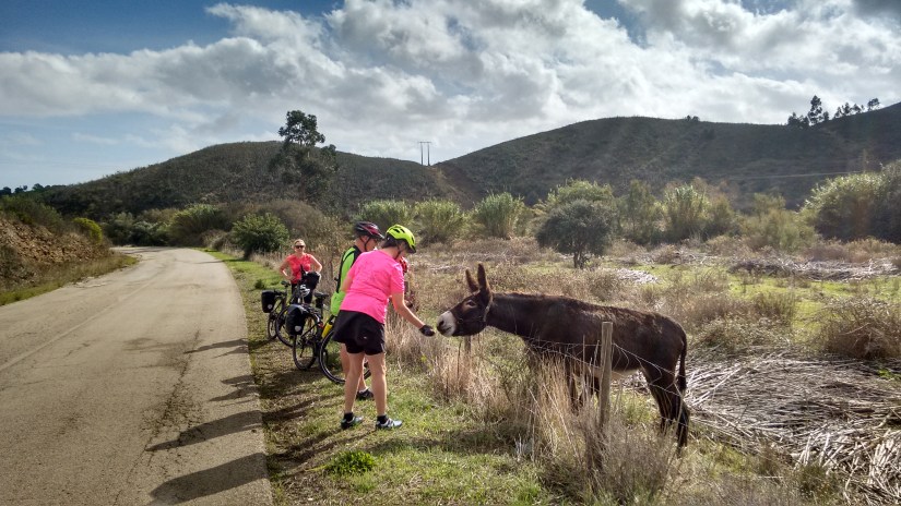 IMG_20181107_123001304_HDR