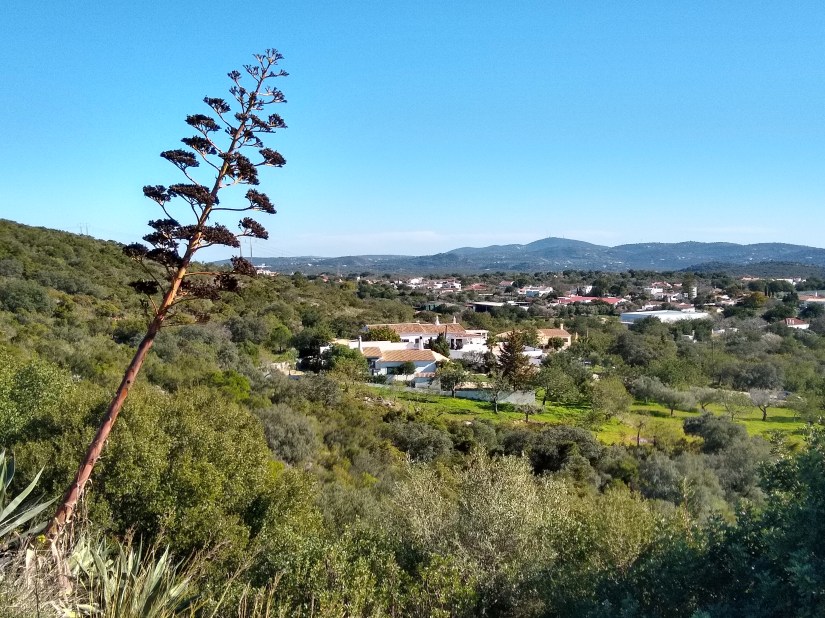 IMG_20190207_143709820_HDR